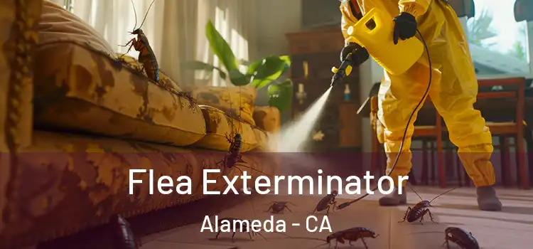  Flea Exterminator Alameda - CA