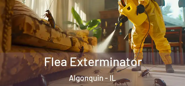  Flea Exterminator Algonquin - IL
