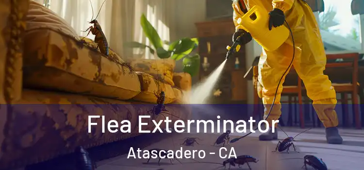  Flea Exterminator Atascadero - CA
