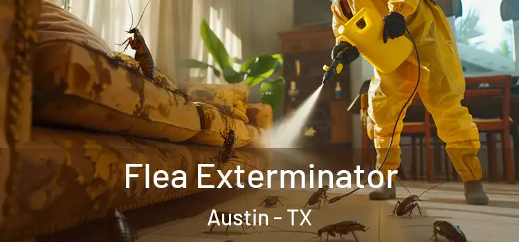  Flea Exterminator Austin - TX
