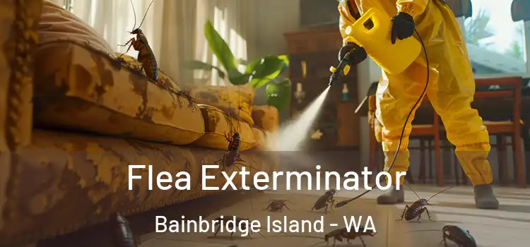 Flea Exterminator Bainbridge Island - WA