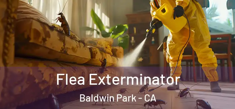  Flea Exterminator Baldwin Park - CA