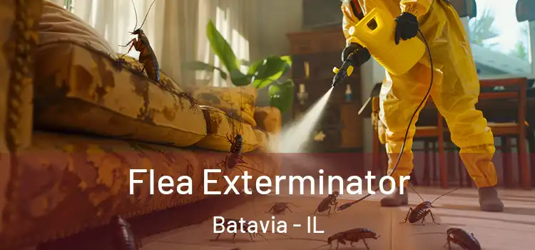 Flea Exterminator Batavia - IL