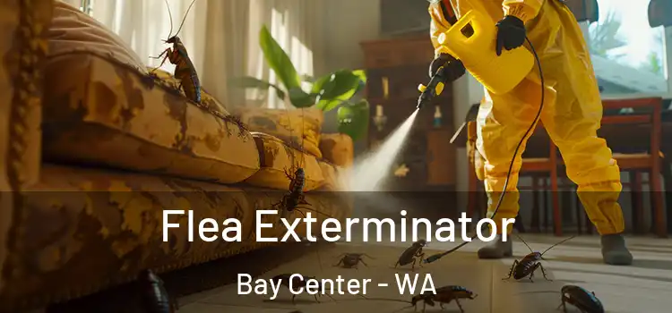  Flea Exterminator Bay Center - WA