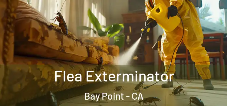  Flea Exterminator Bay Point - CA