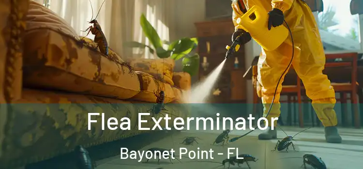  Flea Exterminator Bayonet Point - FL