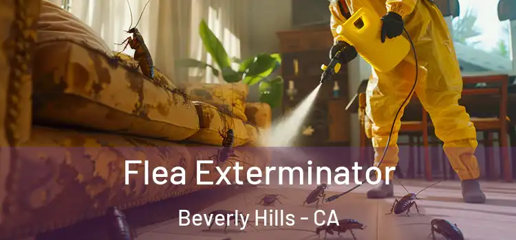  Flea Exterminator Beverly Hills - CA