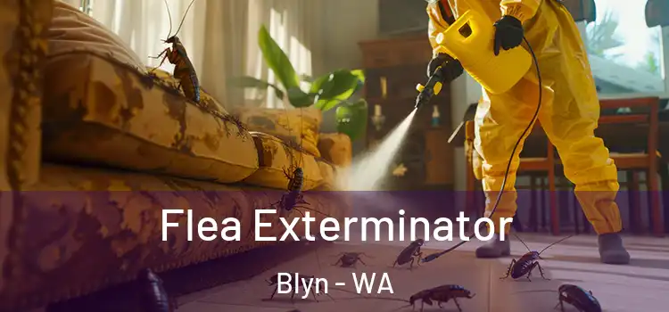 Flea Exterminator Blyn - WA