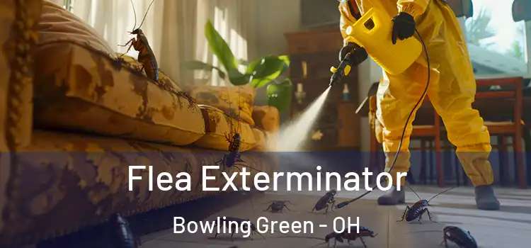 Flea Exterminator Bowling Green - OH