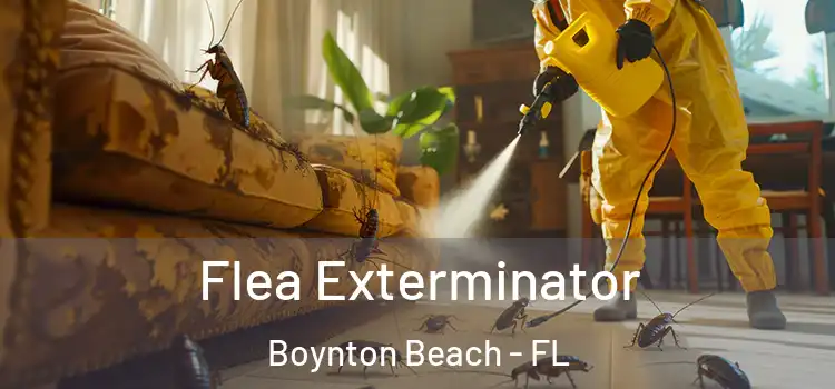  Flea Exterminator Boynton Beach - FL