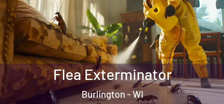  Flea Exterminator Burlington - WI