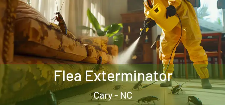 Flea Exterminator Cary - NC