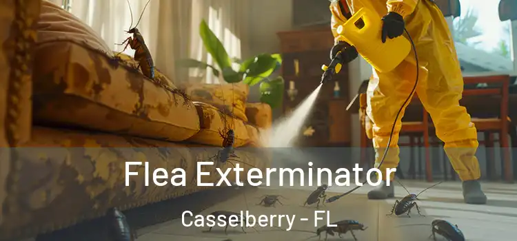 Flea Exterminator Casselberry - FL