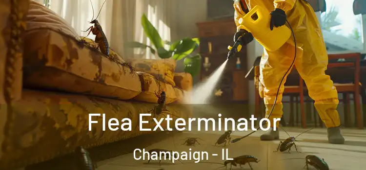  Flea Exterminator Champaign - IL