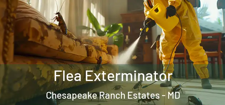  Flea Exterminator Chesapeake Ranch Estates - MD