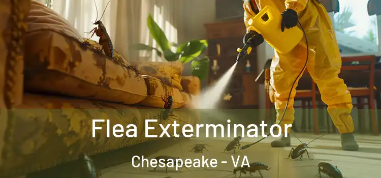  Flea Exterminator Chesapeake - VA
