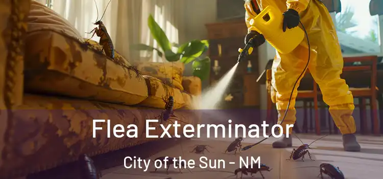 Flea Exterminator City of the Sun - NM