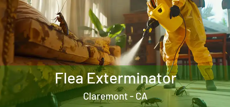  Flea Exterminator Claremont - CA