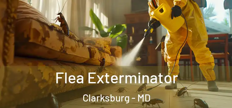  Flea Exterminator Clarksburg - MD