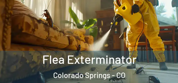 Flea Exterminator Colorado Springs - CO