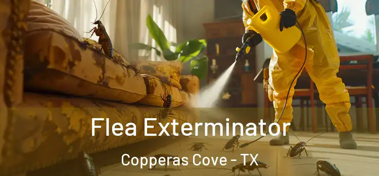  Flea Exterminator Copperas Cove - TX