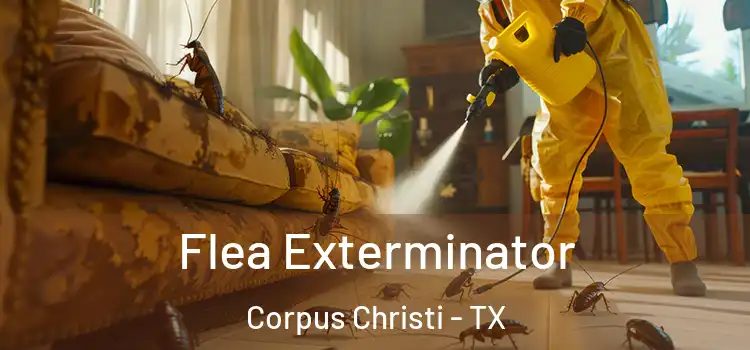  Flea Exterminator Corpus Christi - TX