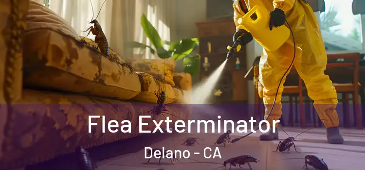 Flea Exterminator Delano - CA