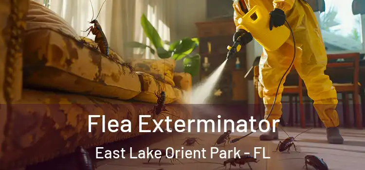  Flea Exterminator East Lake Orient Park - FL