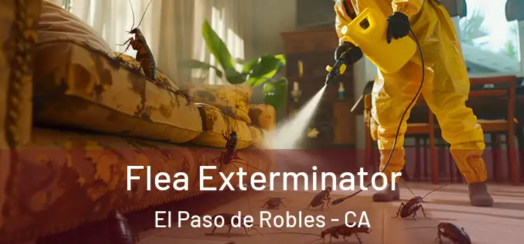 Flea Exterminator El Paso de Robles - CA