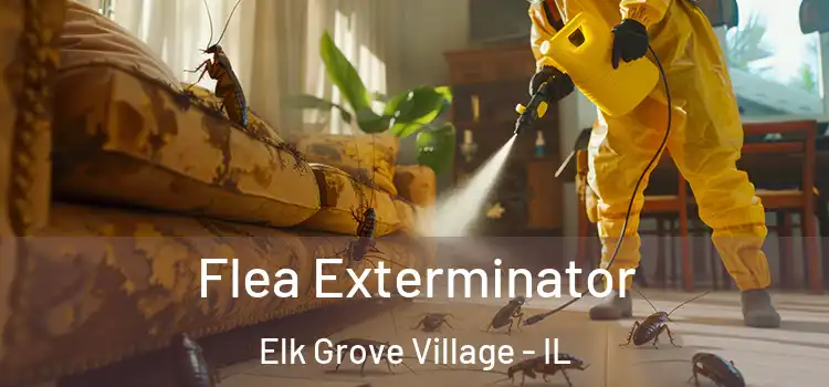  Flea Exterminator Elk Grove Village - IL