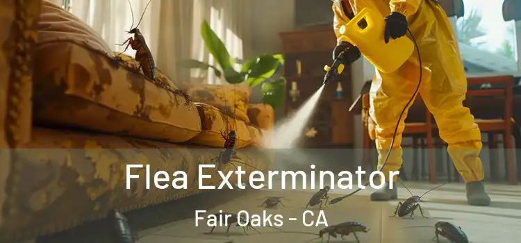 Flea Exterminator Fair Oaks - CA