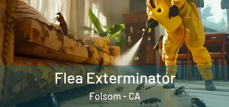 Flea Exterminator Folsom - CA