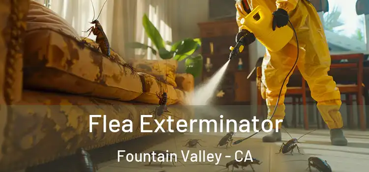 Flea Exterminator Fountain Valley - CA