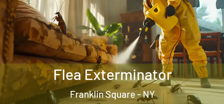  Flea Exterminator Franklin Square - NY