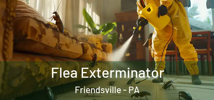  Flea Exterminator Friendsville - PA