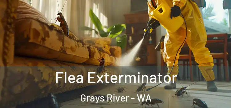  Flea Exterminator Grays River - WA