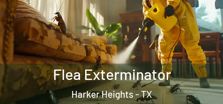 Flea Exterminator Harker Heights - TX