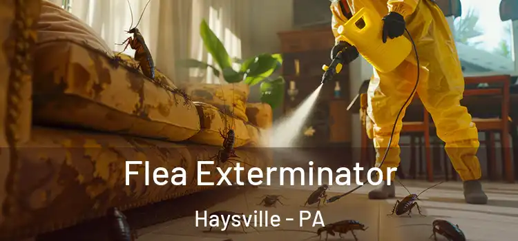  Flea Exterminator Haysville - PA
