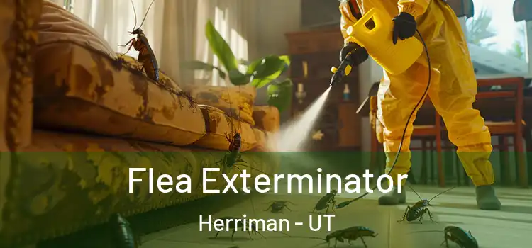  Flea Exterminator Herriman - UT