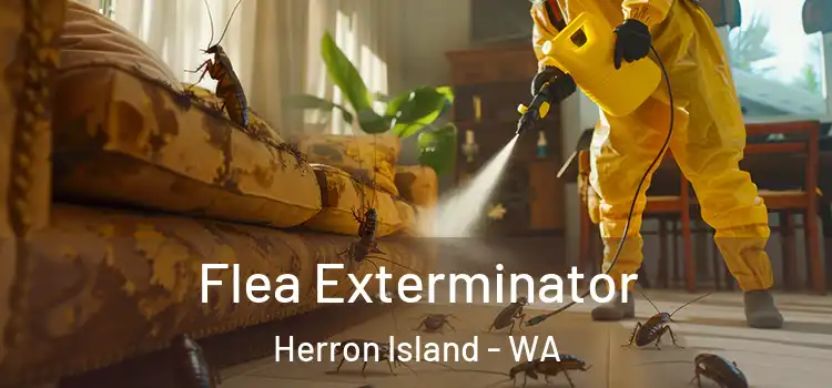 Flea Exterminator Herron Island - WA