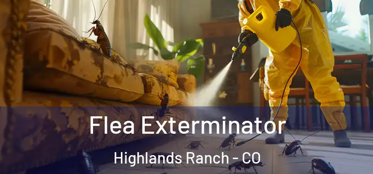Flea Exterminator Highlands Ranch - CO