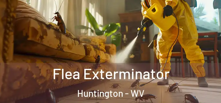  Flea Exterminator Huntington - WV