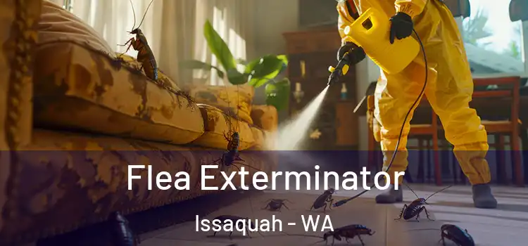  Flea Exterminator Issaquah - WA