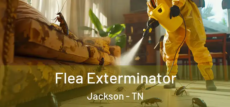 Flea Exterminator Jackson - TN