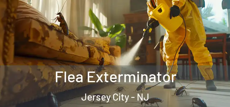 Flea Exterminator Jersey City - NJ
