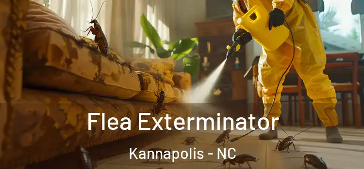 Flea Exterminator Kannapolis - NC