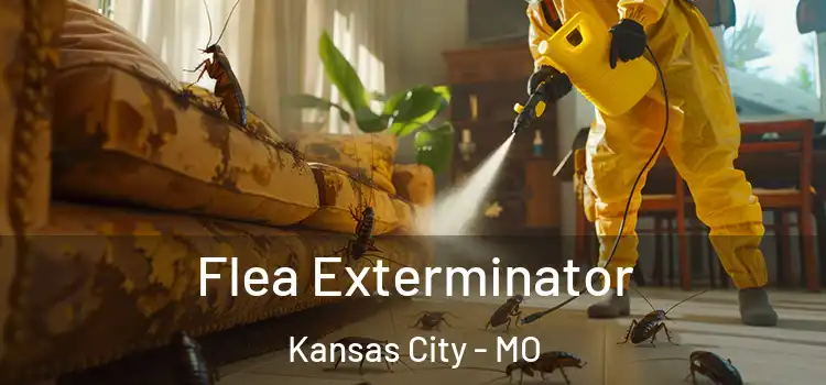  Flea Exterminator Kansas City - MO
