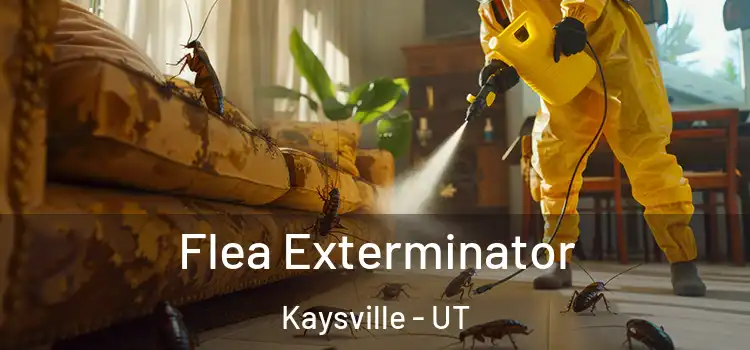  Flea Exterminator Kaysville - UT