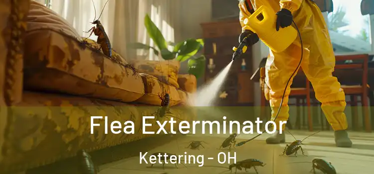  Flea Exterminator Kettering - OH
