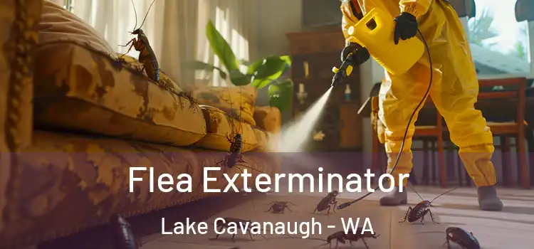  Flea Exterminator Lake Cavanaugh - WA
